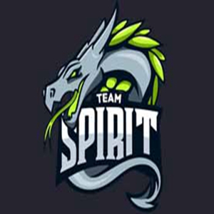 TSpirit战队dota2-dota2TSpirit战队成员最新名单2021